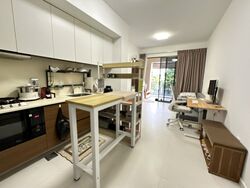 The Miltonia Residences (D27), Condominium #482311211